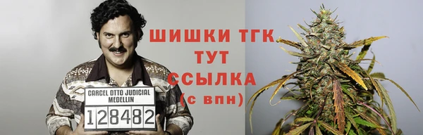 гидра Алексеевка