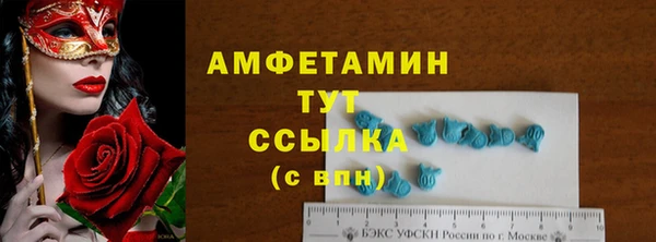 мет Алексин