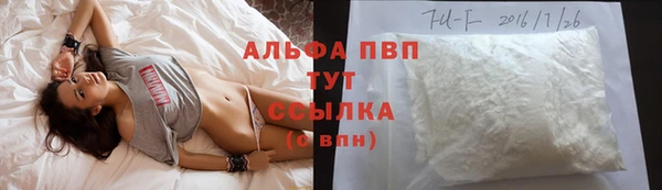 мет Алексин