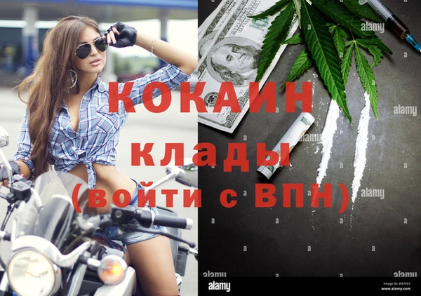 гидра Алексеевка