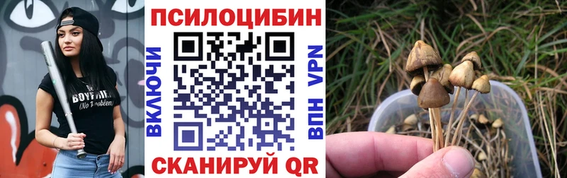Галлюциногенные грибы ЛСД наркота Осташков