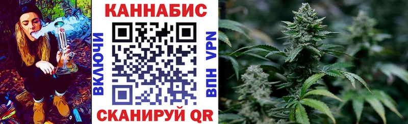 Каннабис OG Kush Осташков